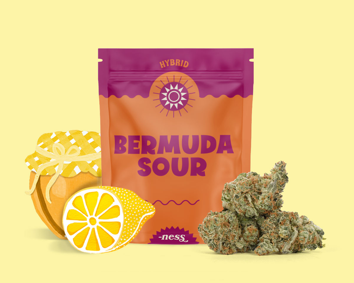 Bermuda Sour