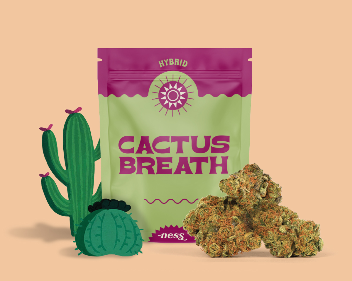 Cactus Breath