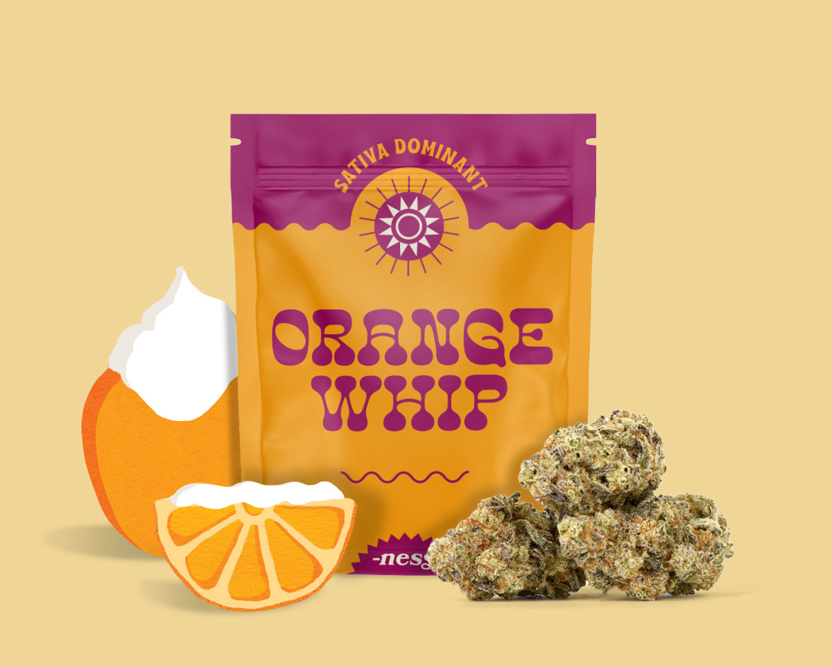 Orange Whip